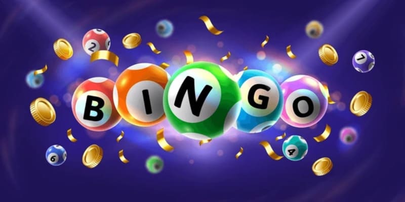 Khái niệm Bingo là gì dễ hiểu và được quan tâm